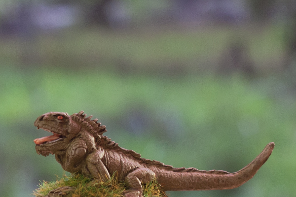 7Leif - Giant Iguana, bad squiddo